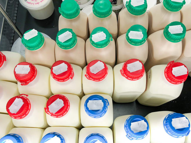 Le lait - Composition et standardisation du lait