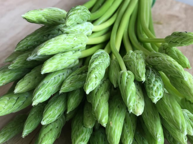 Asperges des bois en bouquet