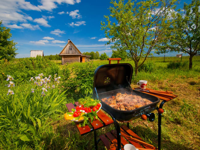 Barbecue au jardin