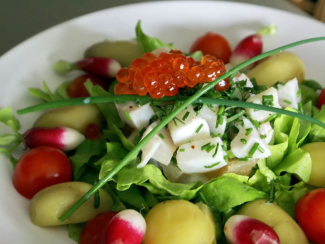 Tartare de poisson cru