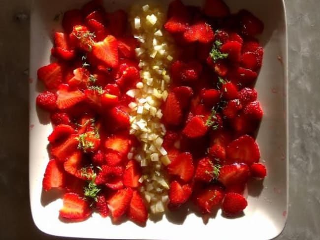 Carpaccio de fraise à la verveine et au fenouil