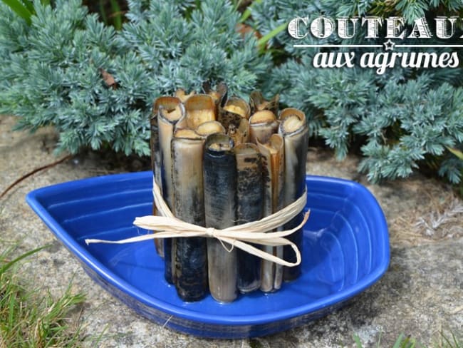 Couteaux aux agrumes, oranges et citrons