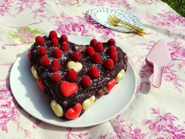 Gâteau moelleux au chocolat lait et framboises