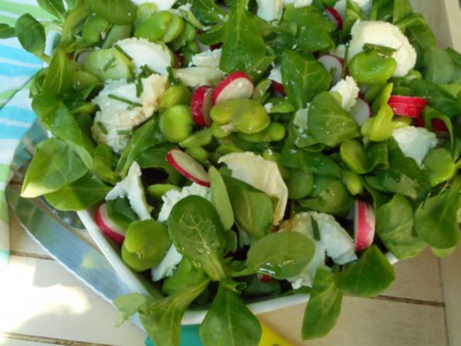 Salade de mâche, févettes et radis au chèvre