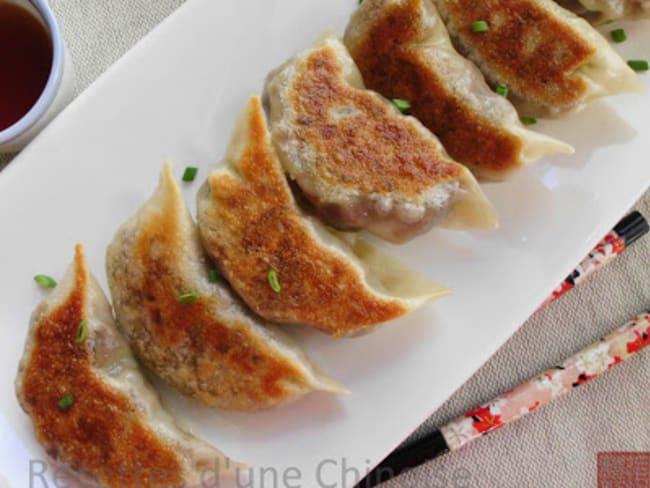 Gyoza au canard