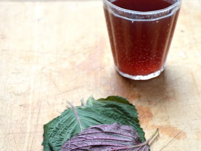 Sirop de shiso sans vinaigre de riz