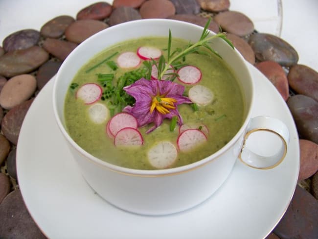 Velouté glacé de laitue, courgettes et piment d'Espelette, petites brochettes de courgette, radis et kiwis