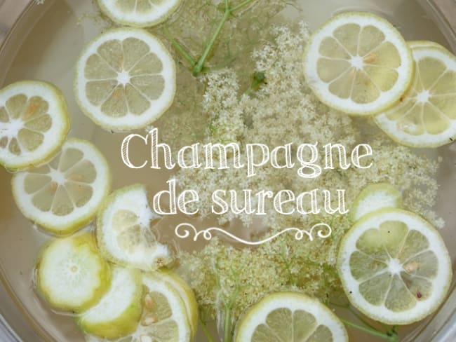 Champagne de sureau