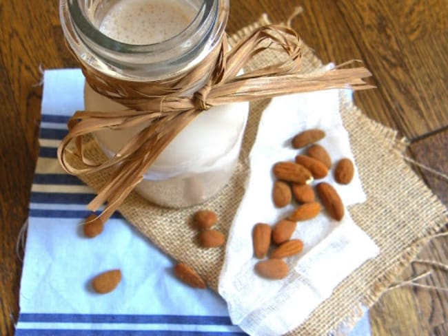 Lait praliné amandes et noisettes fait maison