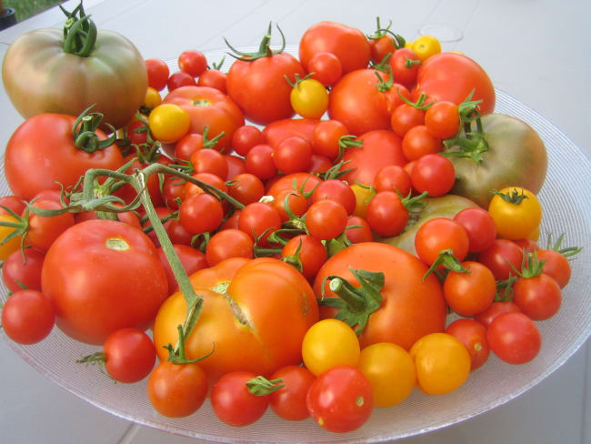 Coulis de tomates