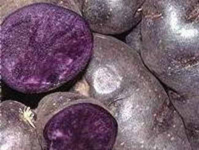 Cuisiner la pomme de terre vitelotte - Recette de vitelotte