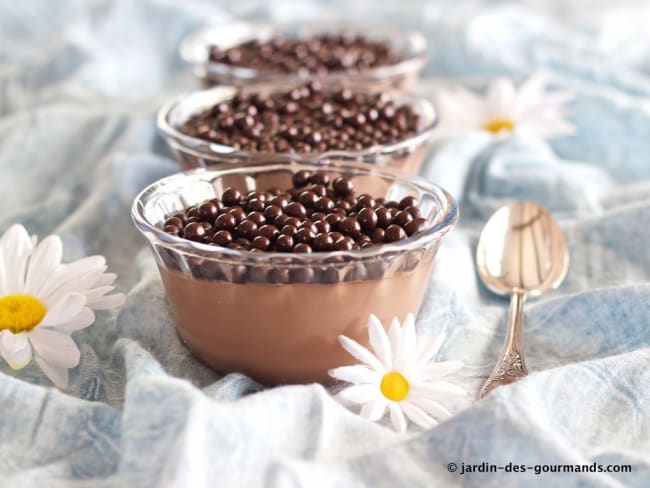 Crèmes légères au Chocolat