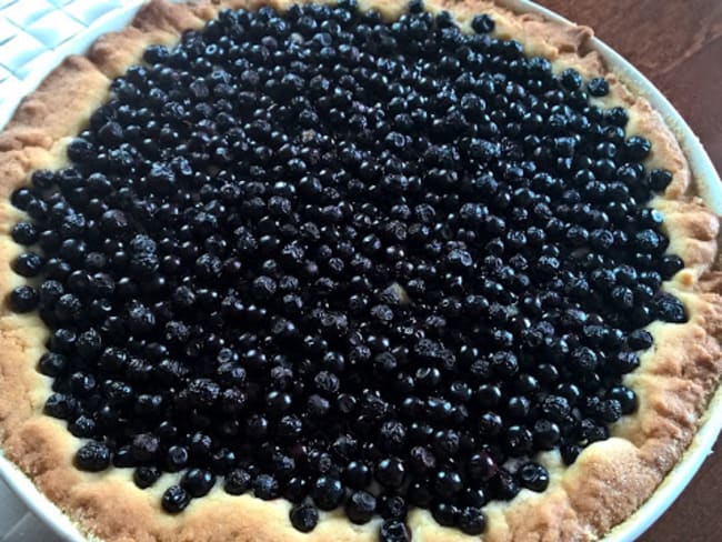 Tarte aux myrtilles facile