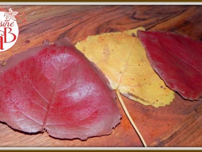 Feuilles en chocolat pour décoration