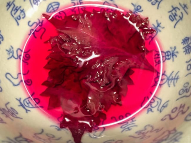 Vinaigre de shiso rouge