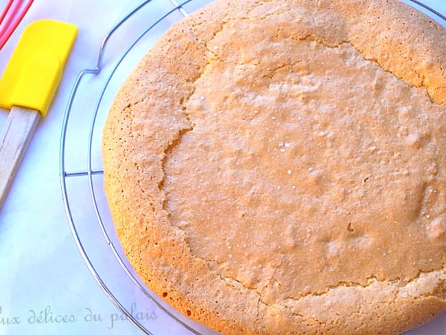 Biscuit succès aux amandes et noisettes