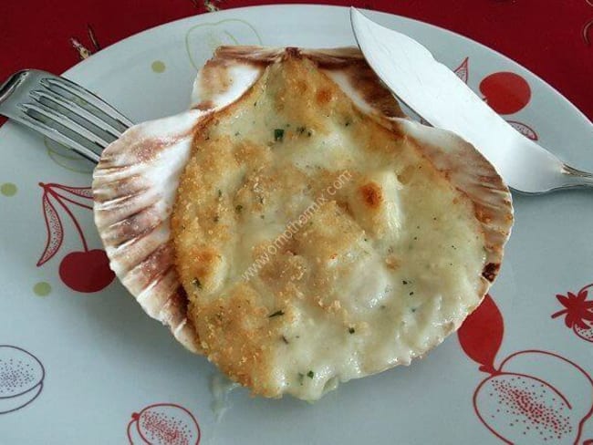 Coquilles Saint-Jacques gratinées au thermomix facile et rapide