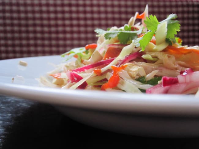 Salade vietnamienne de chou blanc et poulet