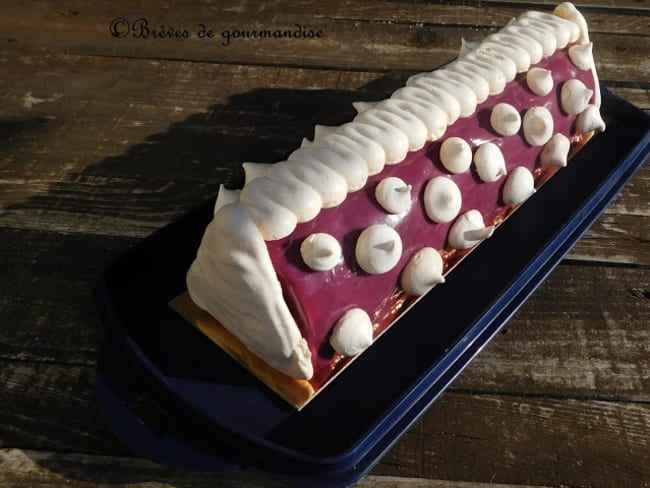 Bûche de Noël cassis, vanille et cardamome