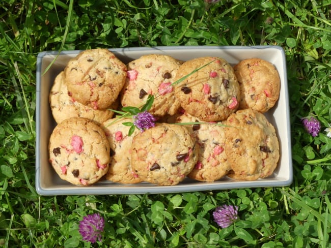 Cookies aux pralines roses et pépites de chocolat