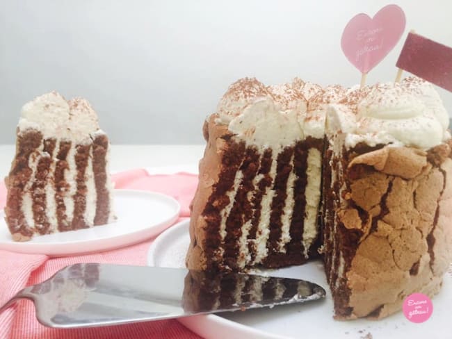 Gâteau roulé vertical au chocolat