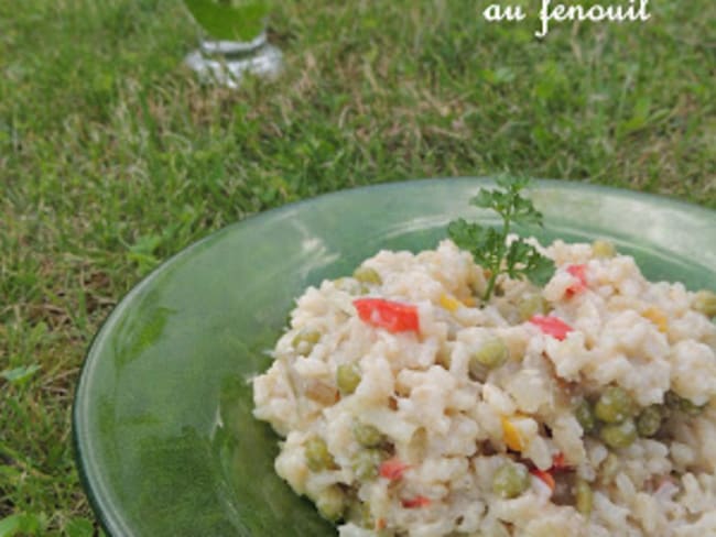 Risotto coloré fenouil et légumes