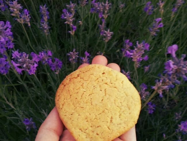 Biscuits citron et lavande