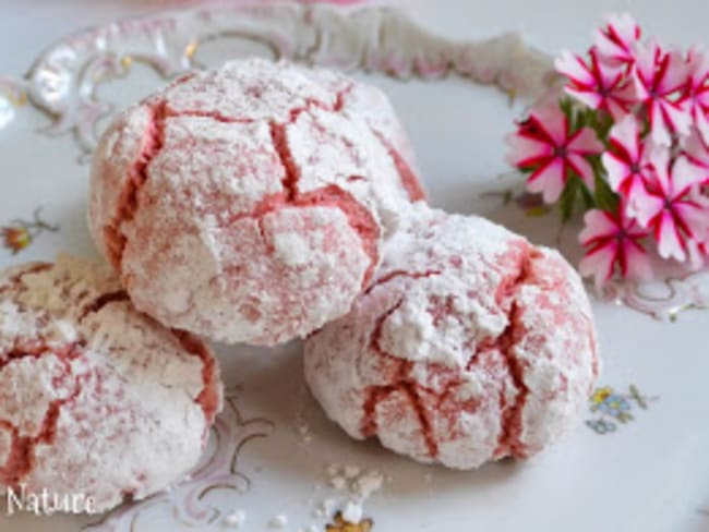 Amaretti aux biscuits roses de Reims