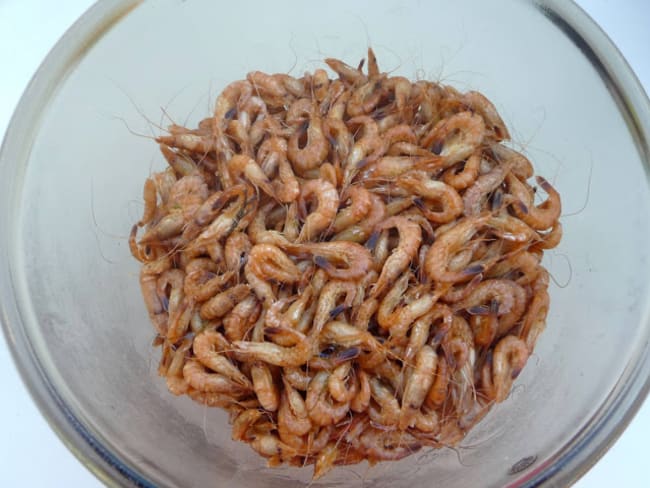 Crevettes grises au beurre salé