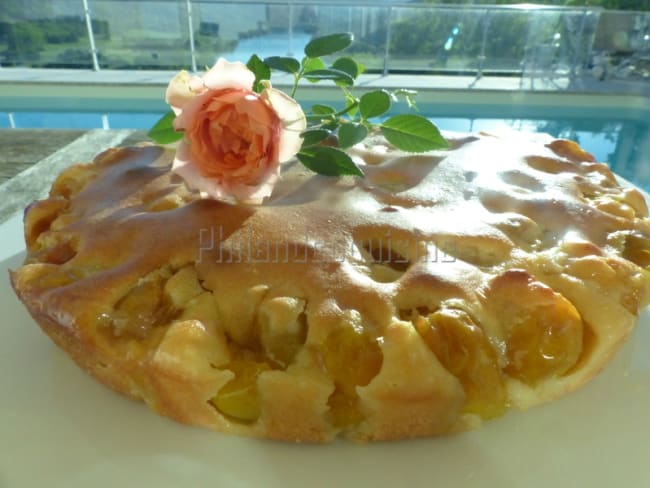 Gâteau aux mirabelles