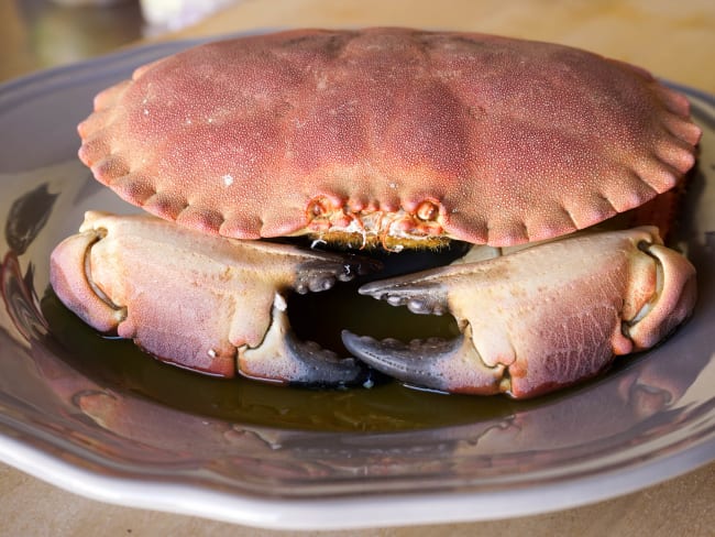 Cuisson du tourteau - Technique de cuisson du crabe au court-bouillon