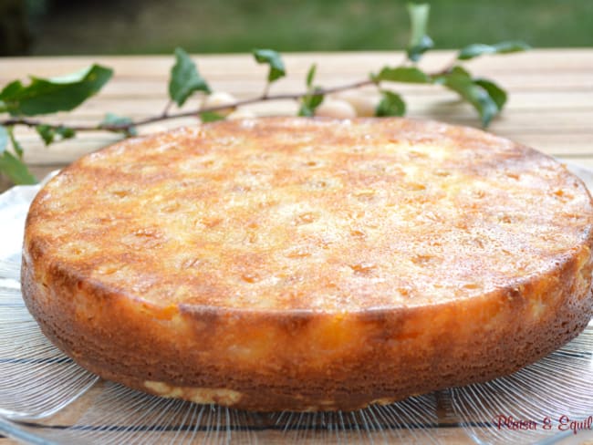 Gâteau renversé aux mirabelles