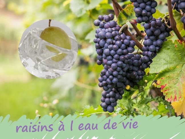 Raisins à l'eau de vie en fin de repas, en garniture d'un dessert, d'un cocktail...