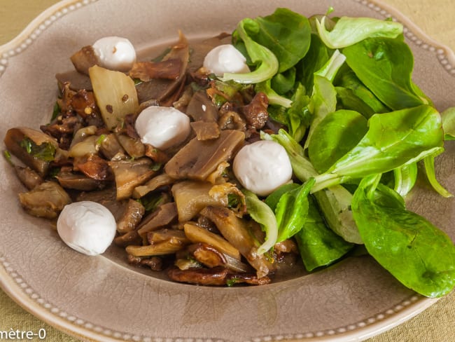 Poêlée d'aubergines aux cèpes et à la mozzarella