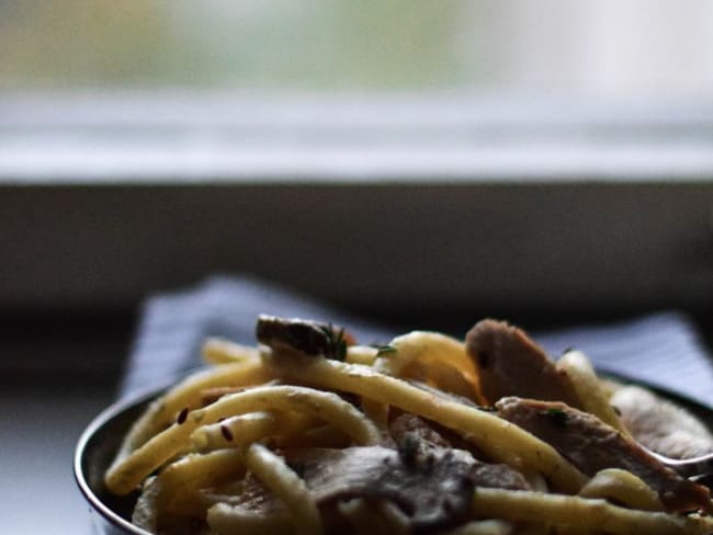 Macaronis crémeux à la dinde, pleurotes et thym