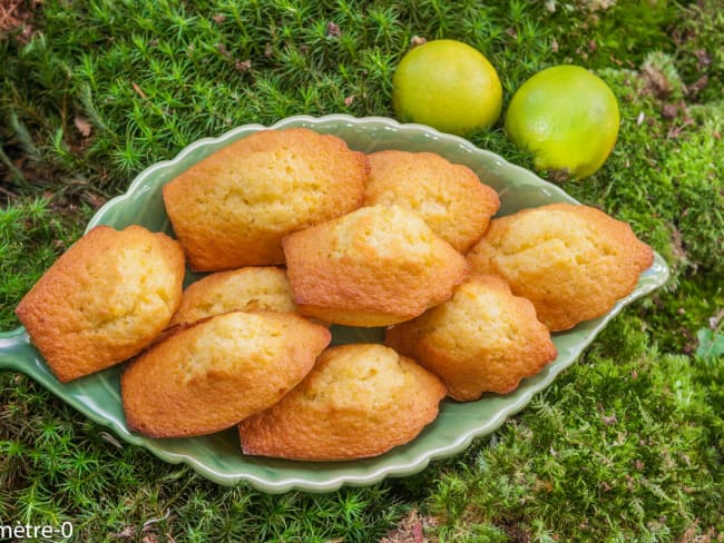 Madeleines au citron