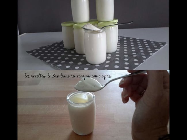 Recette et cuisson de yaourts à la vanille façon la laitière