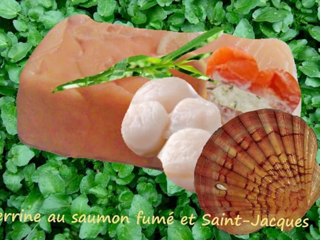 Terrine au saumon fumé et Saint-Jacques (ou pétoncles)