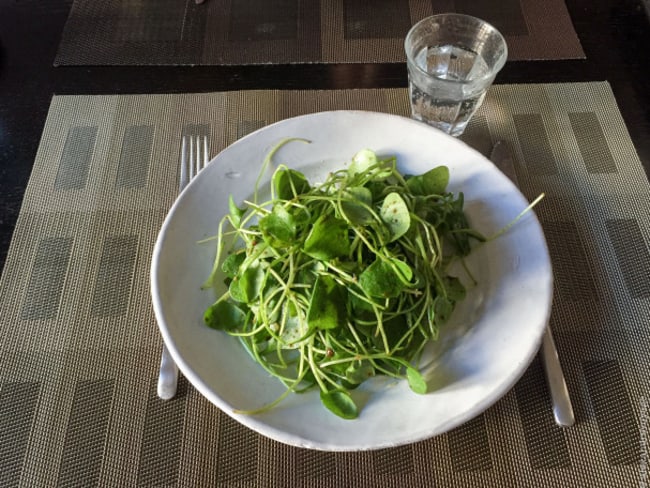 Pourpier d’hiver en salade