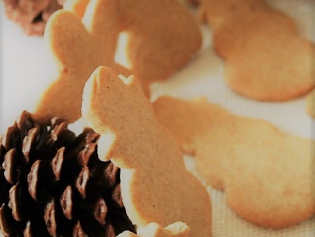 Petits Biscuits au Sucre Bio, aux épices de Noël