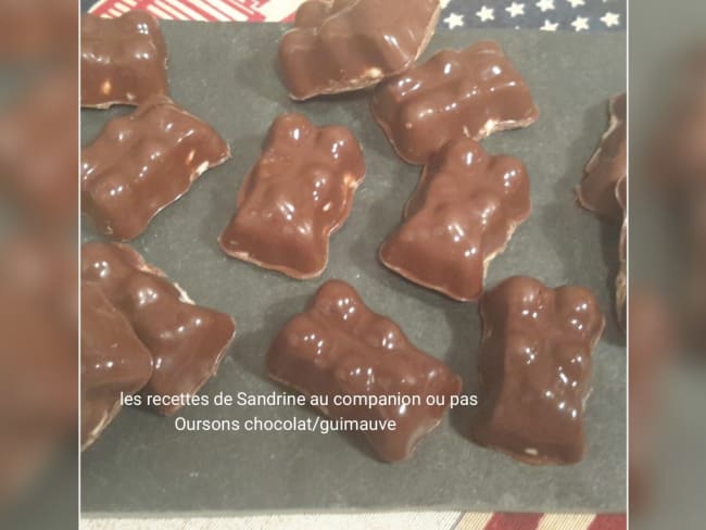 Oursons chocolat/guimauve (recette facile et inratable)