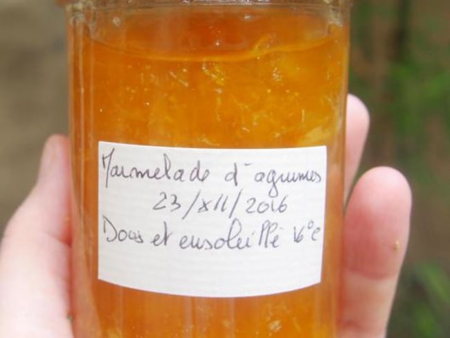 Marmelade d’agrumes maison