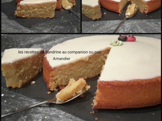 Amandier ou gâteau fondant aux amandes