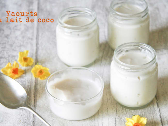 Yaourts au lait végétal de coco (sans lactose)