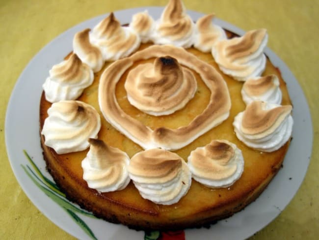 Gâteau fondant citron chocolat blanc pavot