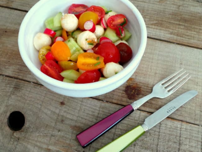 Salade de tomates cerises, mozzarella, radis, concombre