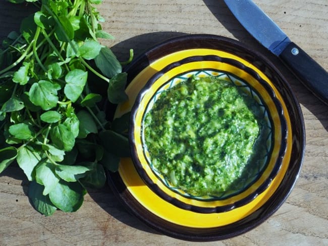 Pesto de cresson pour changer du basilic