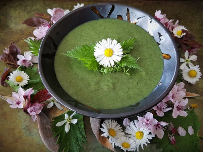 Velouté d'orties (cuisine des fleurs)