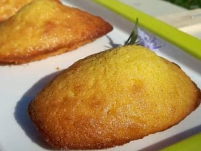 Madeleines au miel par le chef Sébastien Bouillet 