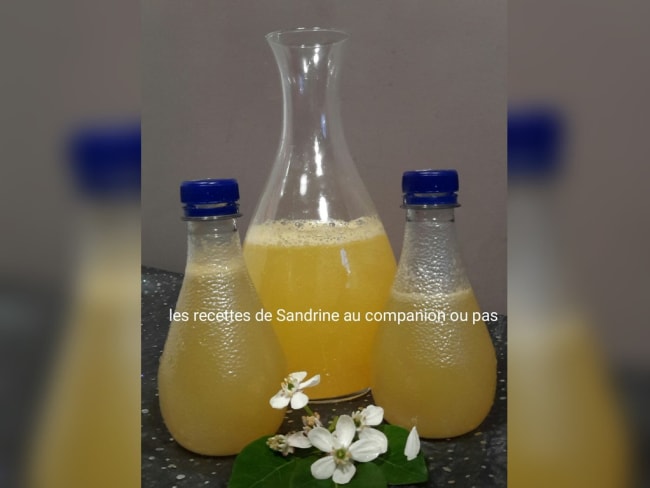 Boisson gazeuse à l'orange façon Orangina